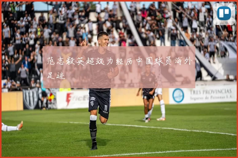 范志毅英超效力经历中国球员海外足迹