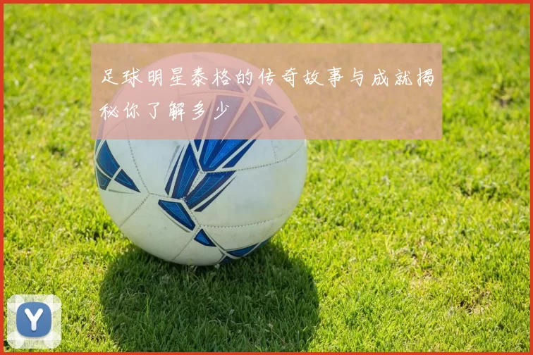足球明星泰格的传奇故事与成就揭秘你了解多少