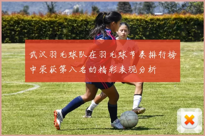 武汉羽毛球队在羽毛球节奏排行榜中荣获第八名的精彩表现分析