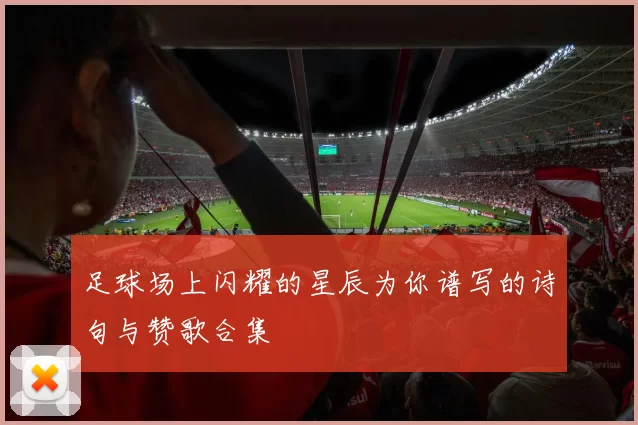 足球场上闪耀的星辰为你谱写的诗句与赞歌合集