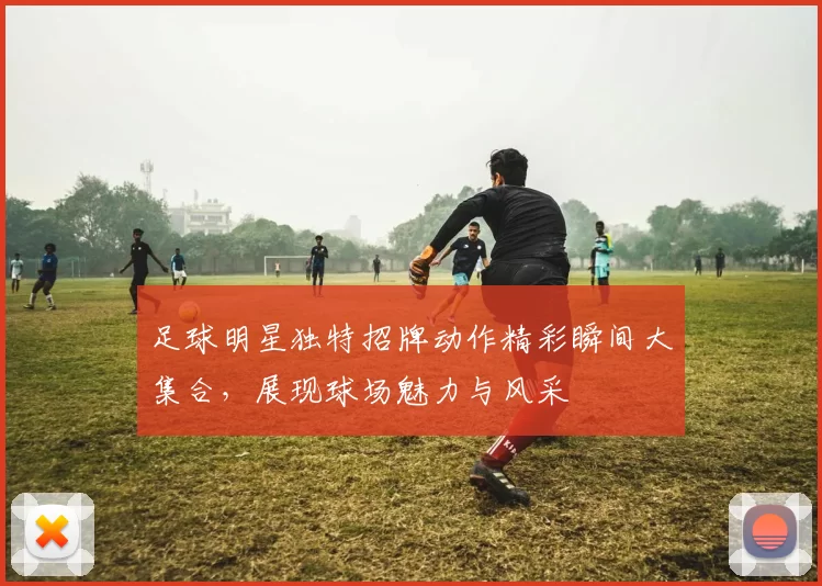 足球明星独特招牌动作精彩瞬间大集合，展现球场魅力与风采
