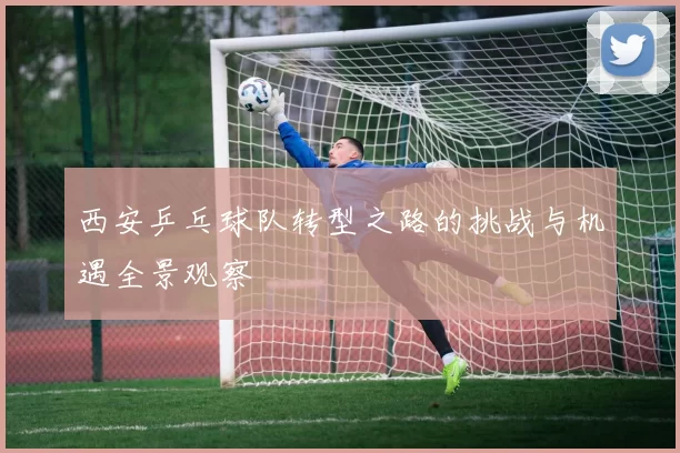 西安乒乓球队转型之路的挑战与机遇全景观察