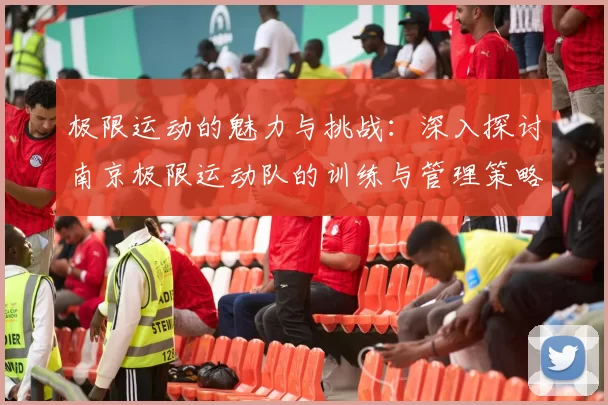 极限运动的魅力与挑战：深入探讨南京极限运动队的训练与管理策略