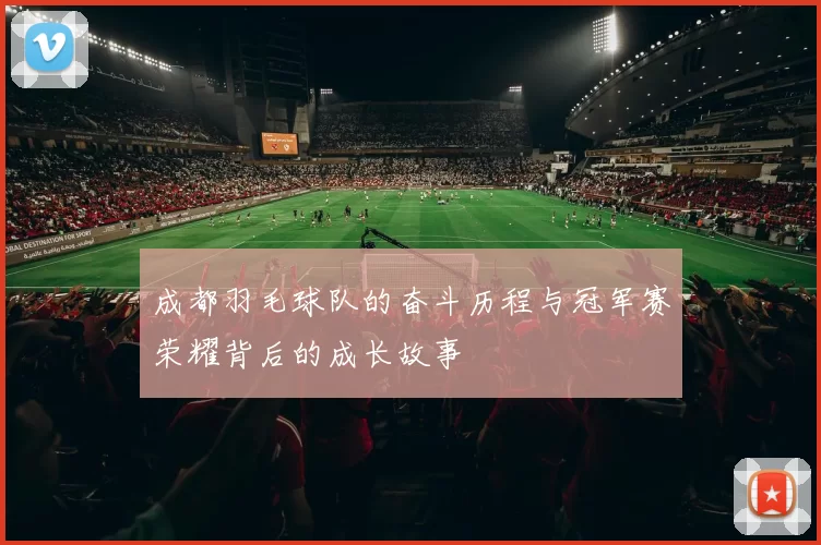 成都羽毛球队的奋斗历程与冠军赛荣耀背后的成长故事