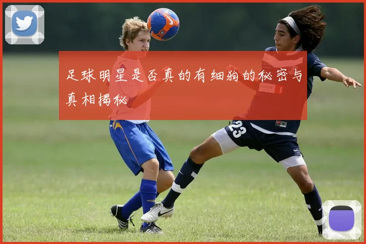 足球明星是否真的有细狗的秘密与真相揭秘