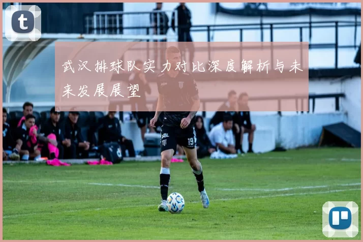 武汉排球队实力对比深度解析与未来发展展望
