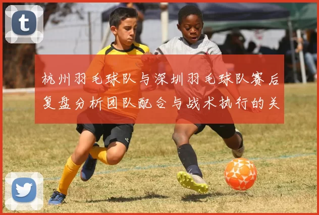 杭州羽毛球队与深圳羽毛球队赛后复盘分析团队配合与战术执行的关键要素