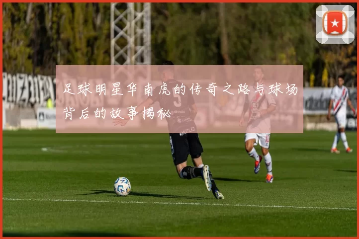 足球明星华南虎的传奇之路与球场背后的故事揭秘