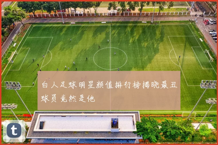 白人足球明星颜值排行榜揭晓最丑球员竟然是他