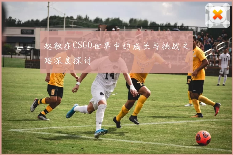 赵敏在CSGO世界中的成长与挑战之路深度探讨