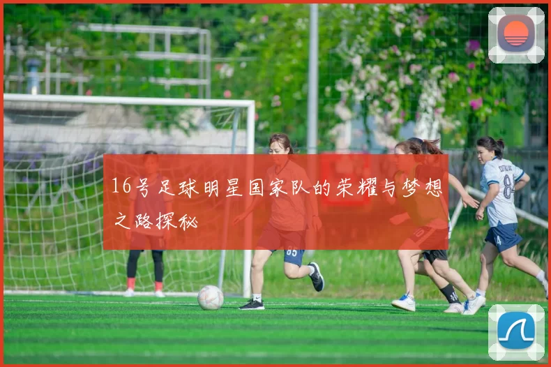 16号足球明星国家队的荣耀与梦想之路探秘
