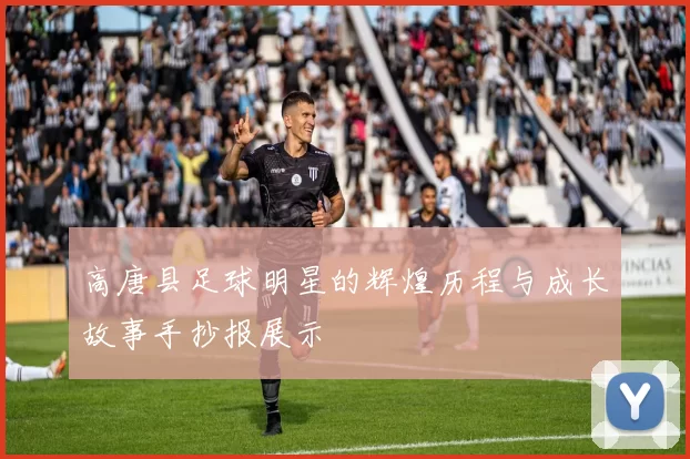 高唐县足球明星的辉煌历程与成长故事手抄报展示