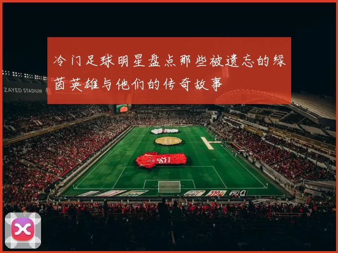 冷门足球明星盘点那些被遗忘的绿茵英雄与他们的传奇故事
