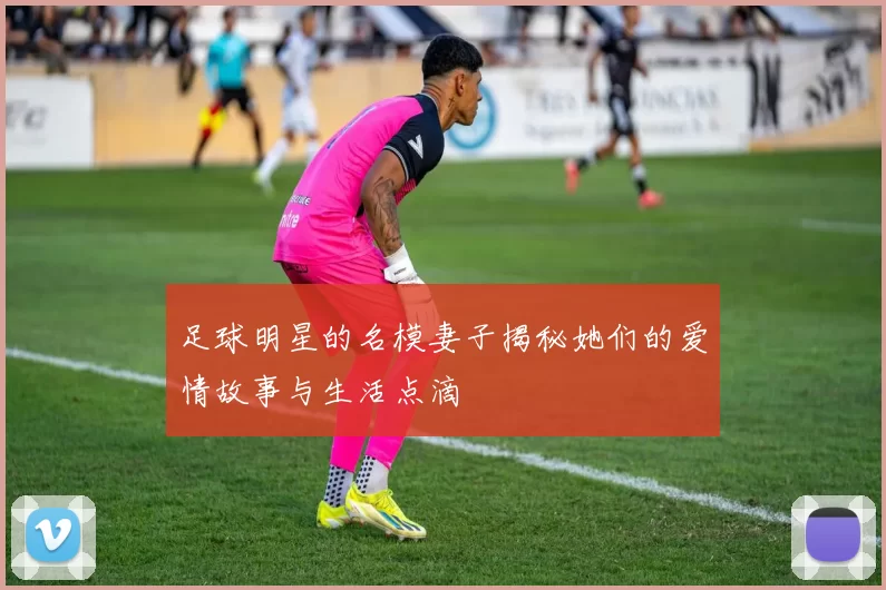 足球明星的名模妻子揭秘她们的爱情故事与生活点滴