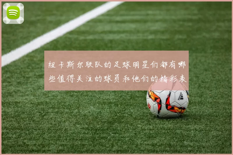 纽卡斯尔联队的足球明星们都有哪些值得关注的球员和他们的精彩表现