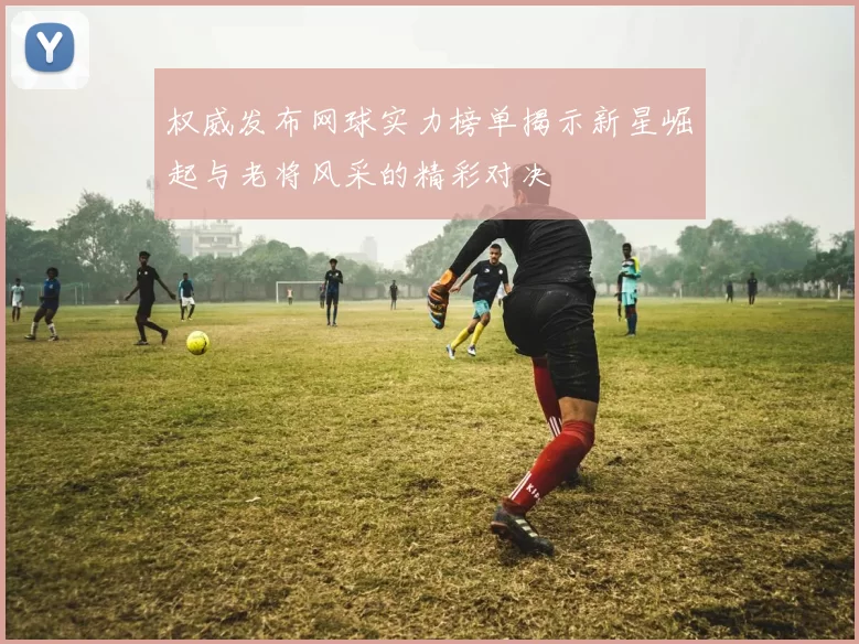 权威发布网球实力榜单揭示新星崛起与老将风采的精彩对决
