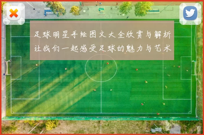 足球明星手绘图文大全欣赏与解析让我们一起感受足球的魅力与艺术之美