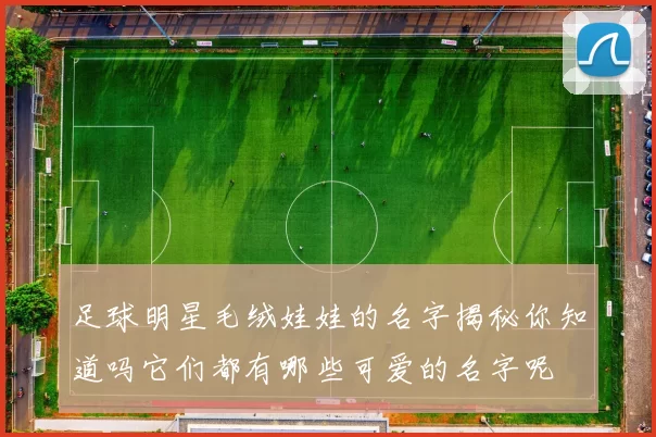 足球明星毛绒娃娃的名字揭秘你知道吗它们都有哪些可爱的名字呢