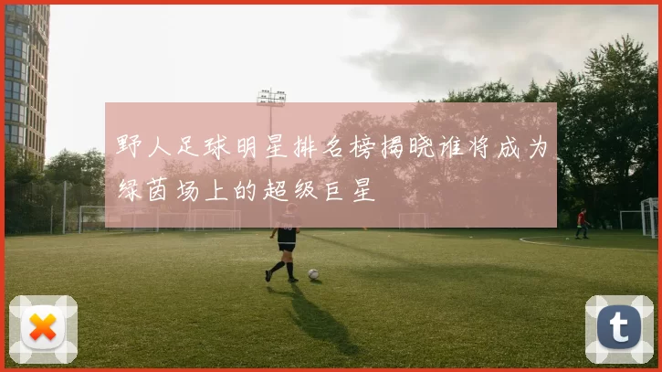野人足球明星排名榜揭晓谁将成为绿茵场上的超级巨星