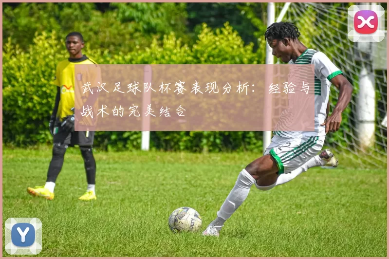 武汉足球队杯赛表现分析：经验与战术的完美结合