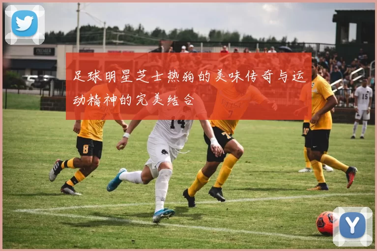 足球明星芝士热狗的美味传奇与运动精神的完美结合