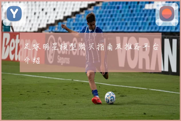 足球明星模型购买指南及推荐平台介绍