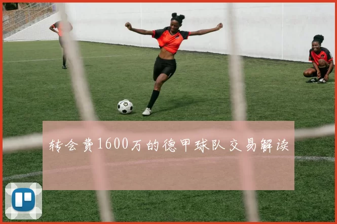 转会费1600万的德甲球队交易解读