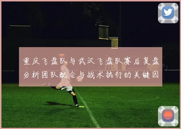 重庆飞盘队与武汉飞盘队赛后复盘分析团队配合与战术执行的关键因素