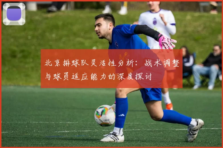 北京排球队灵活性分析：战术调整与球员适应能力的深度探讨