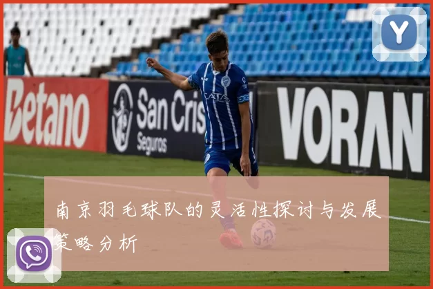 南京羽毛球队的灵活性探讨与发展策略分析