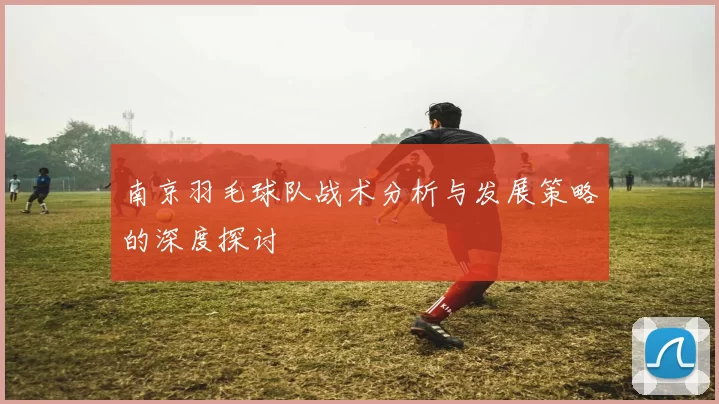南京羽毛球队战术分析与发展策略的深度探讨