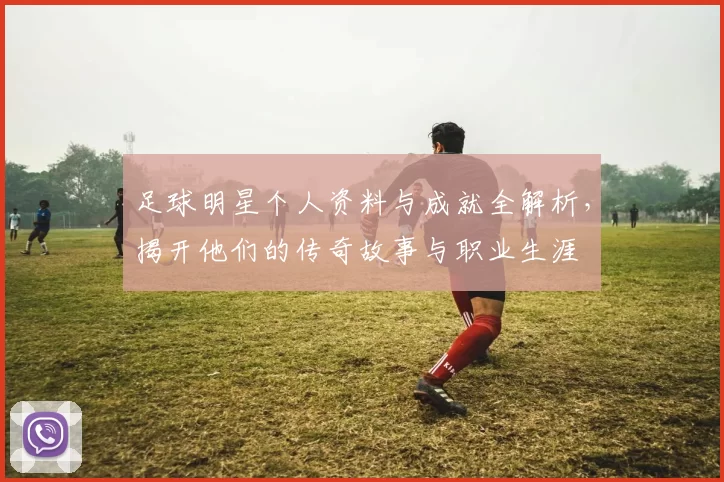 足球明星个人资料与成就全解析，揭开他们的传奇故事与职业生涯