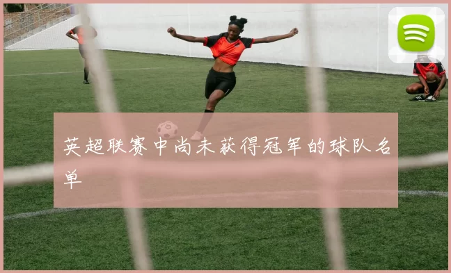 英超联赛中尚未获得冠军的球队名单