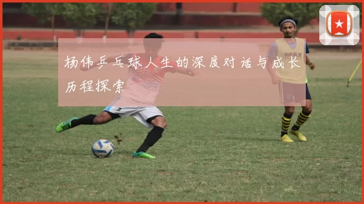 杨伟乒乓球人生的深度对话与成长历程探索