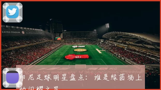 印尼足球明星盘点：谁是绿茵场上的闪耀之星