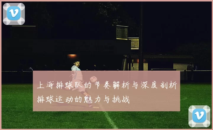上海排球队的节奏解析与深度剖析排球运动的魅力与挑战