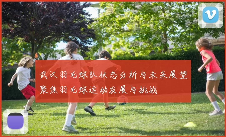 武汉羽毛球队状态分析与未来展望聚焦羽毛球运动发展与挑战